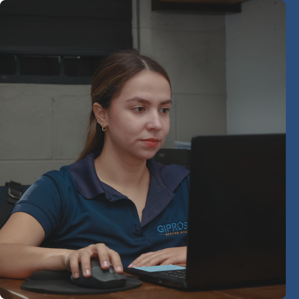 Descripción de la imagen