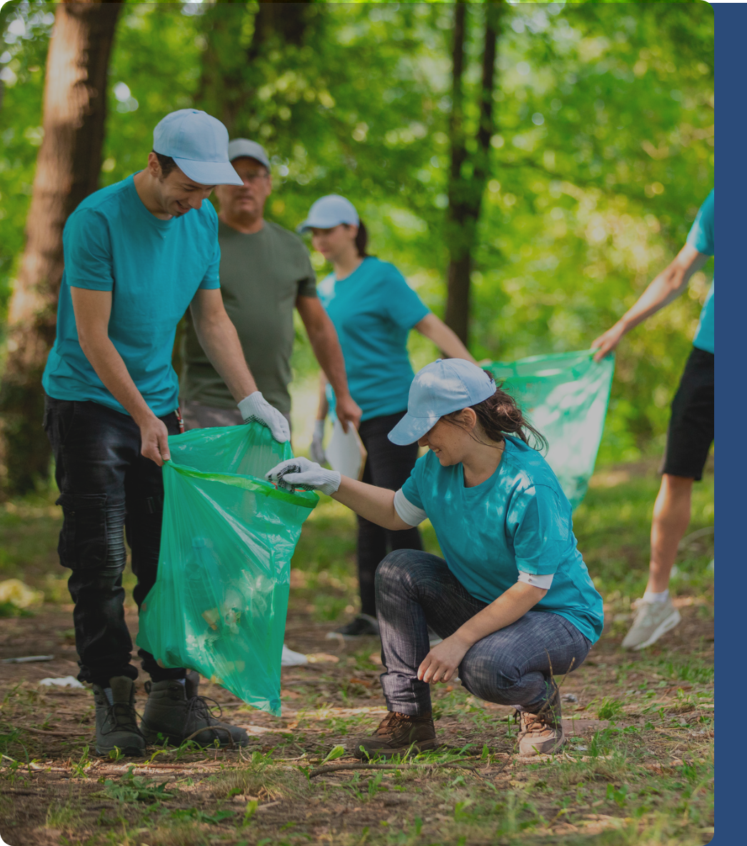 Descripción de la imagen